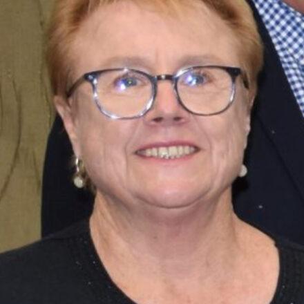 Councillor voices concern about feral cat numbers