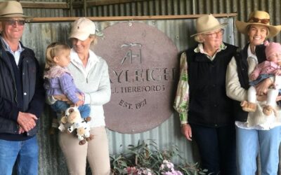 Rayleigh Poll Hereford sale