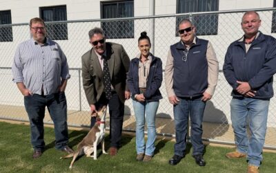 Gunnedah animal impound