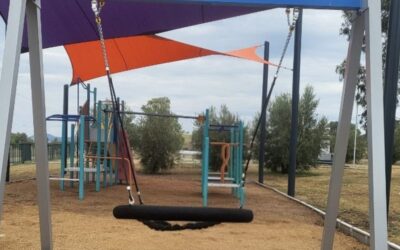 Breeza Park swing stolen