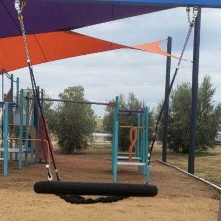 Disabled-friendly basket swing stolen from Breeza Park