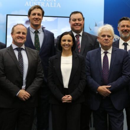 New directors join Cotton Australia board