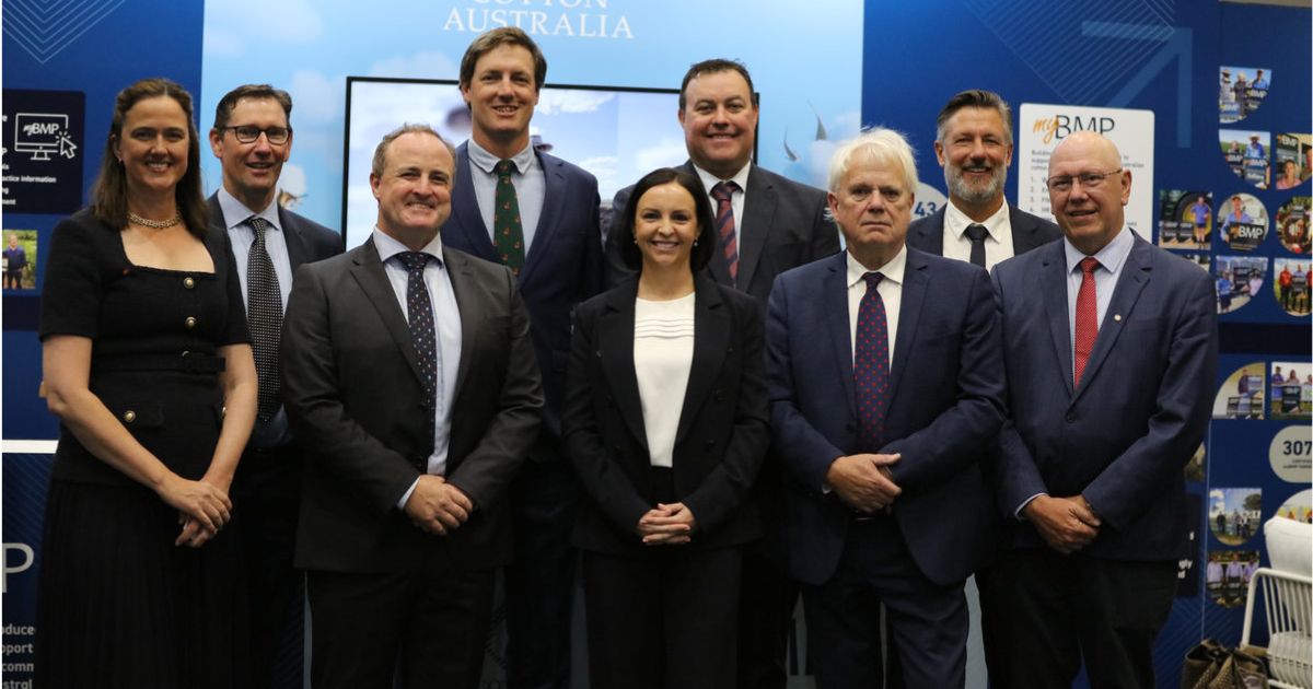 New directors join Cotton Australia board