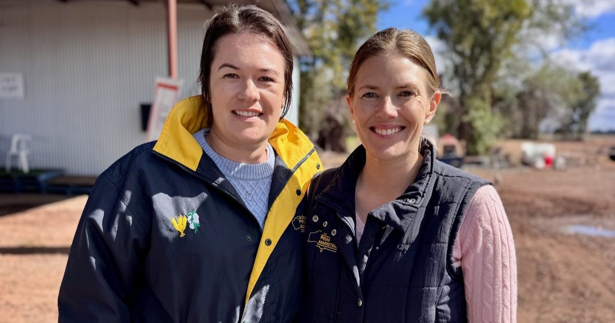 Cotton to citrus: Eather family opens orchard, sharing  opportunities and challenges with farming community