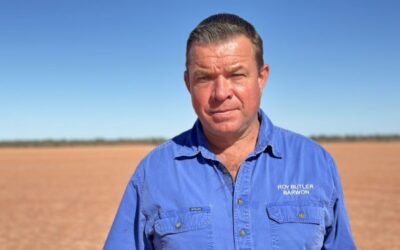 NSW gun buyback scheme