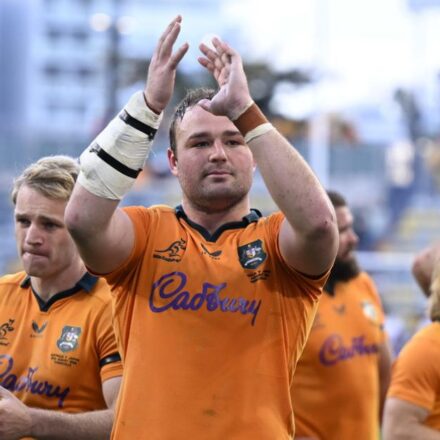 Harry Wilson announced in Wallabies squad to take on Springboks