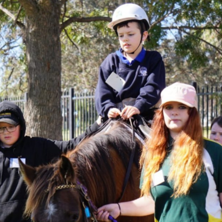 Gunnedah Riding for Disabled makes final call for volunteers