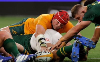 Wallabies Springboks win
