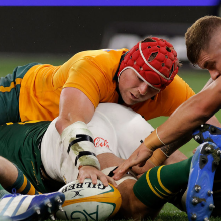 Harry Wilson captains Wallabies to emphatic win against Springboks