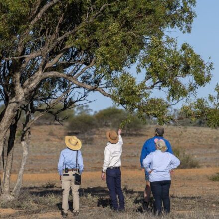 Conservation, cockatoos and connections with Jo