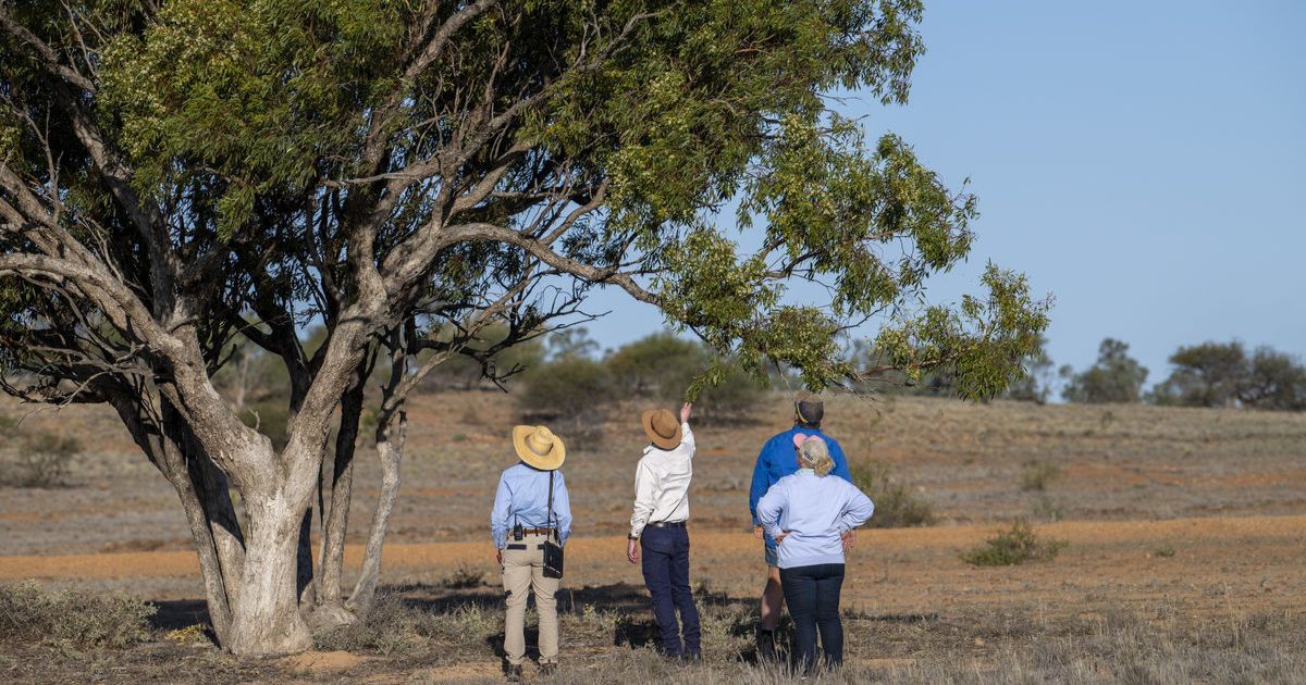 Conservation, cockatoos and connections with Jo