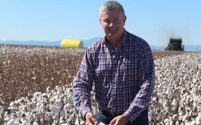 Australian cotton planting 2026