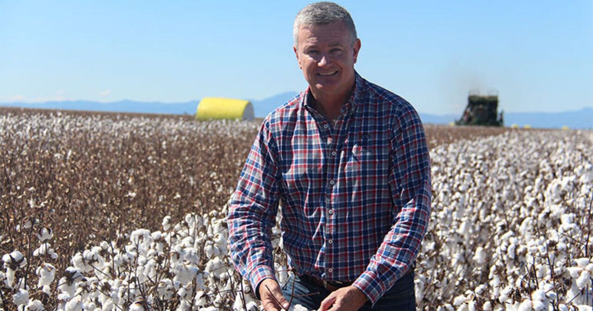Cotton planting underwayas growers face drier season