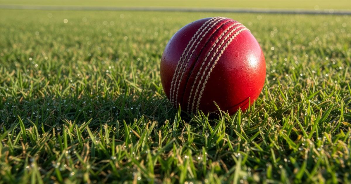Merlehan leads Gunnedah to thrilling win against Bective