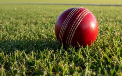 Gunnedah cricket washout