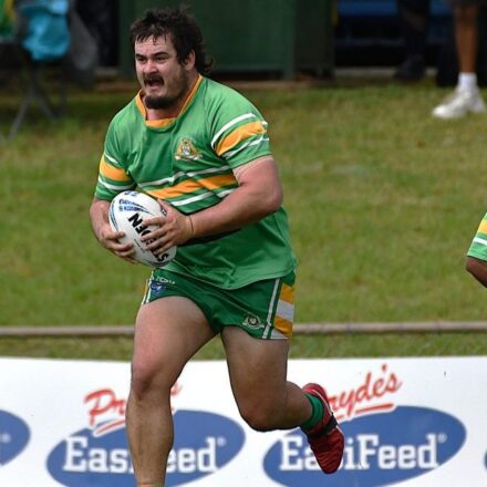 Nick Millar to oversee Roos as first grade coach